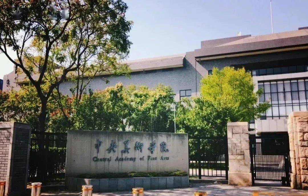 中央美术学院湖南师范大学上海外国语大学华南理工大学苏州大学中国