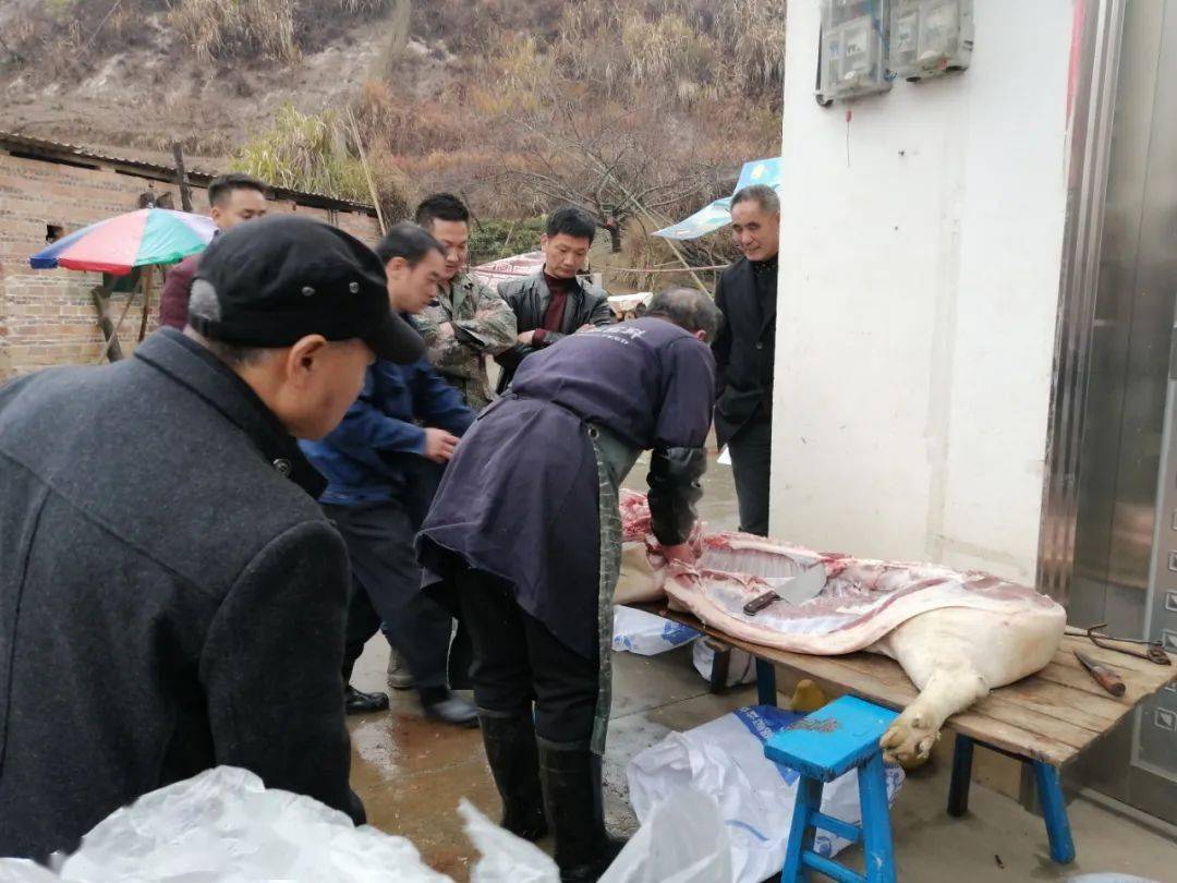 带你们感受下祁阳农村杀年猪的现场.