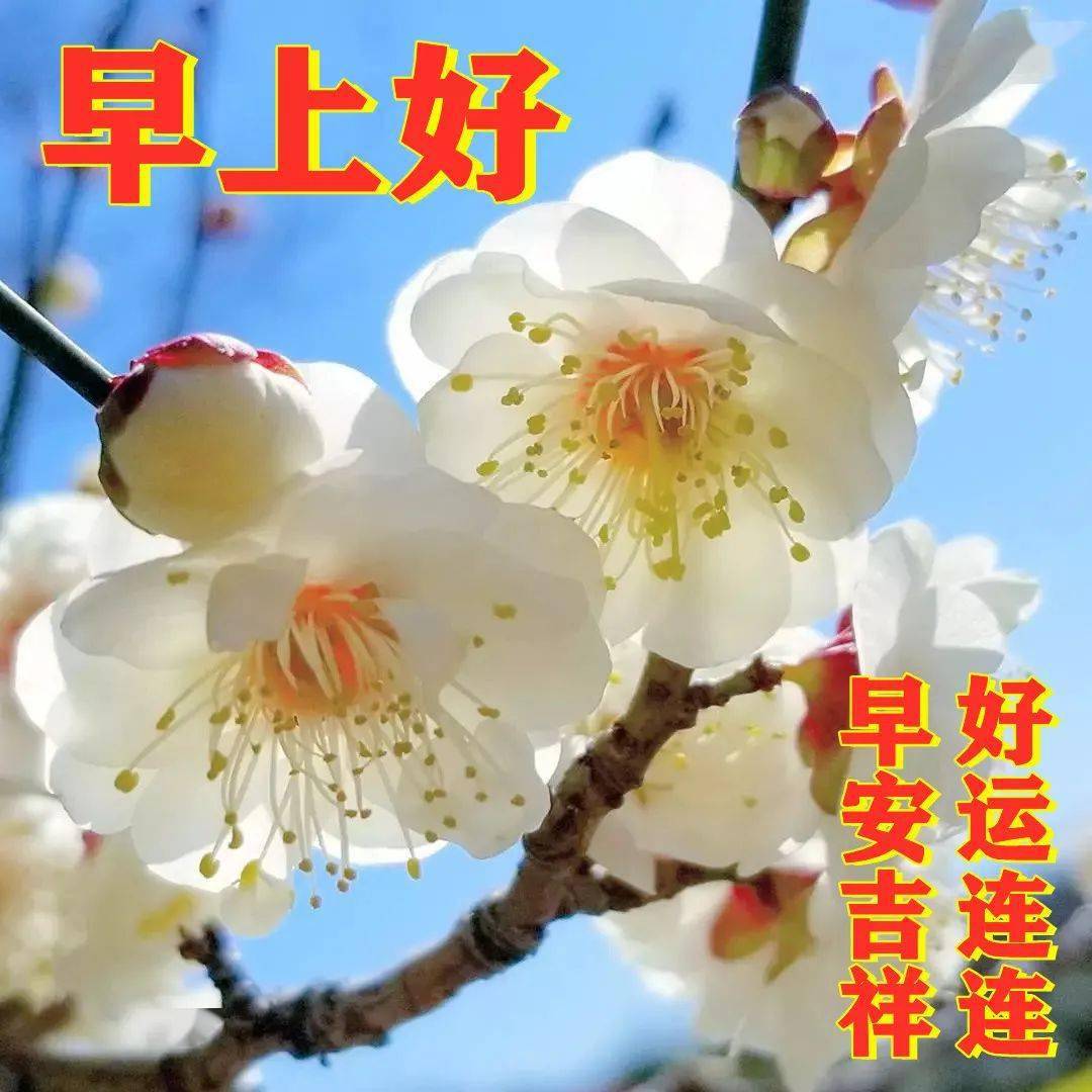 经营好心情  您就拥有了生活的全部.