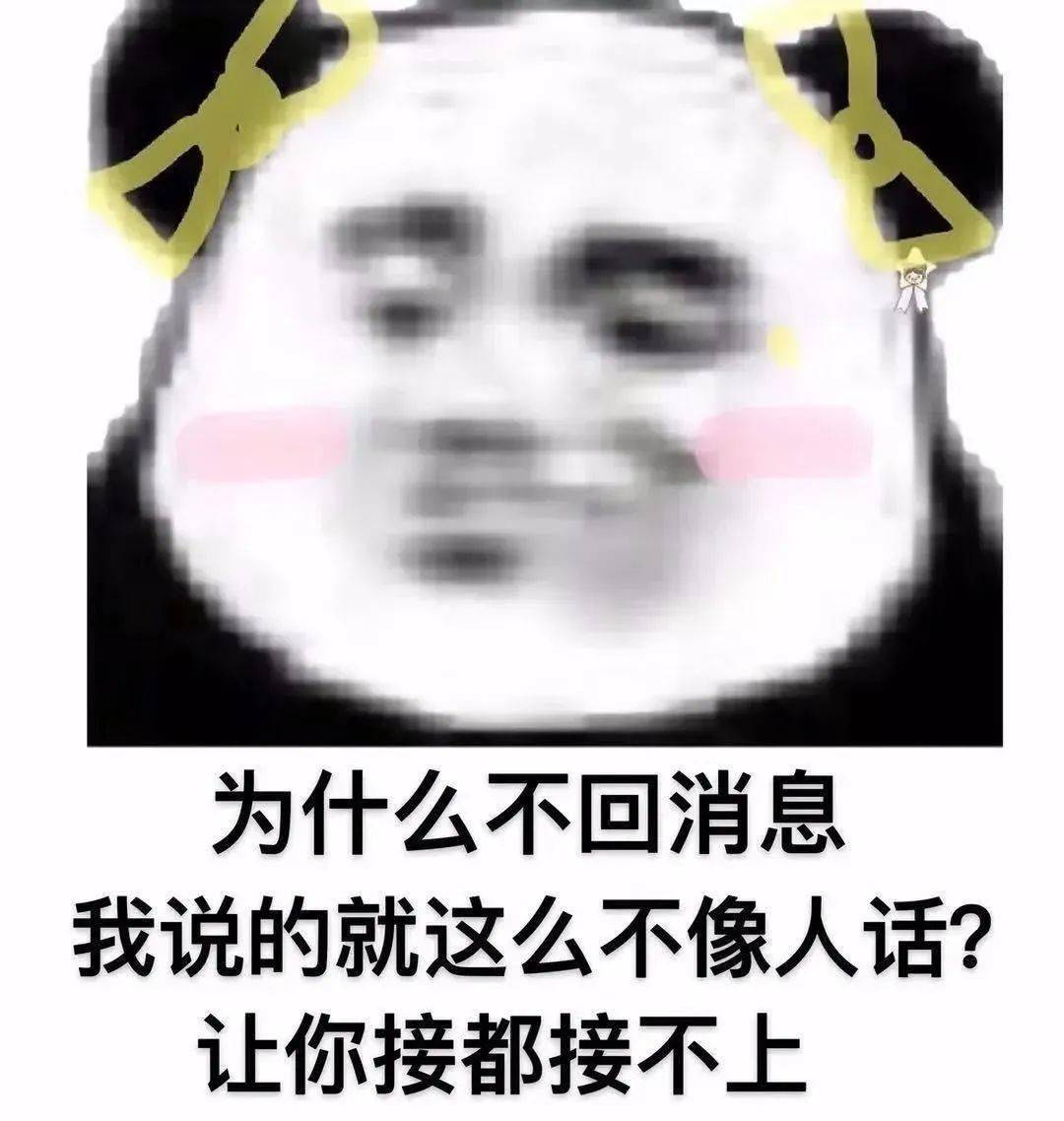 熊猫头表情包 来自央视的肯定