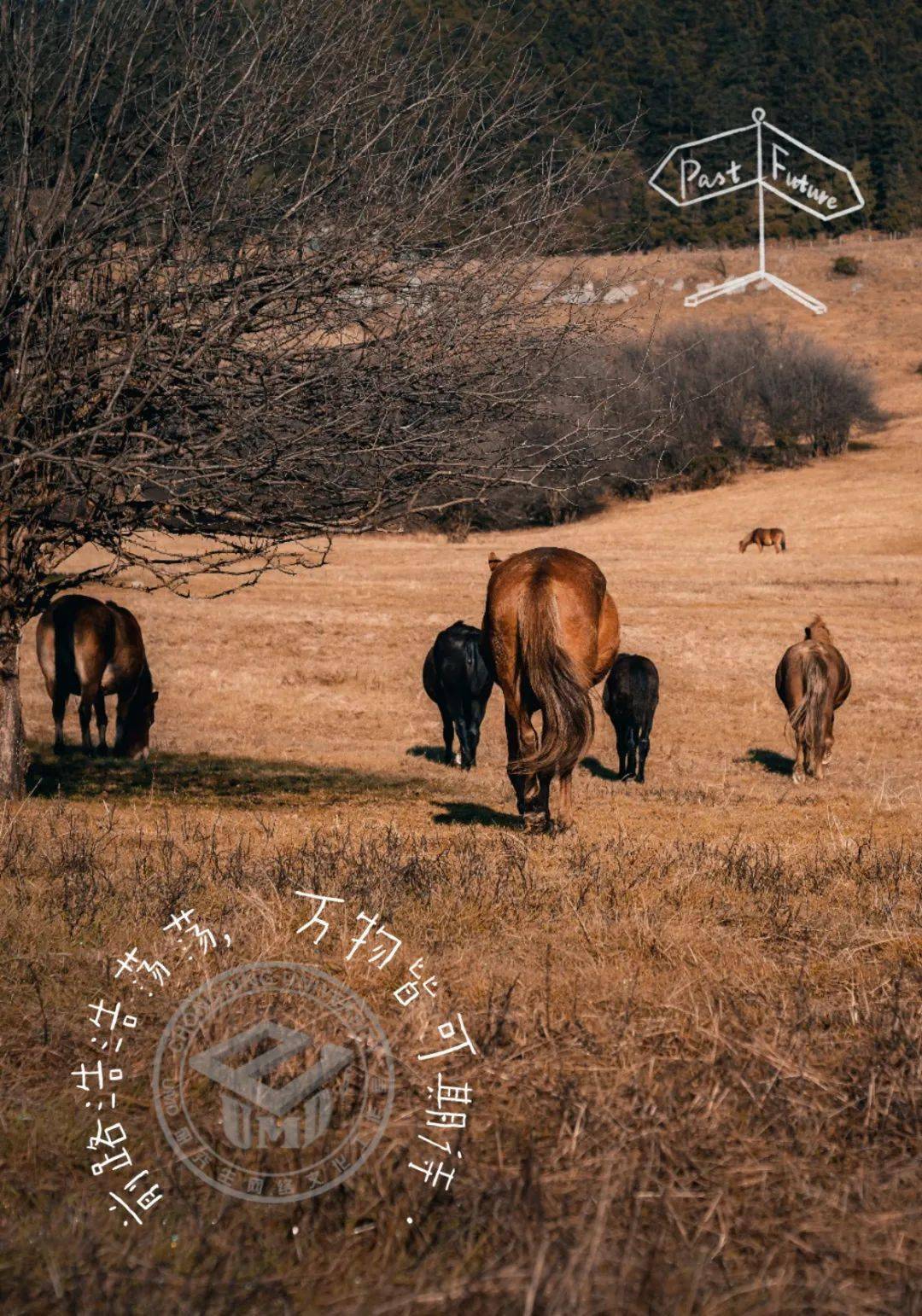 重大壁纸 | 新年福气从新壁纸开启!