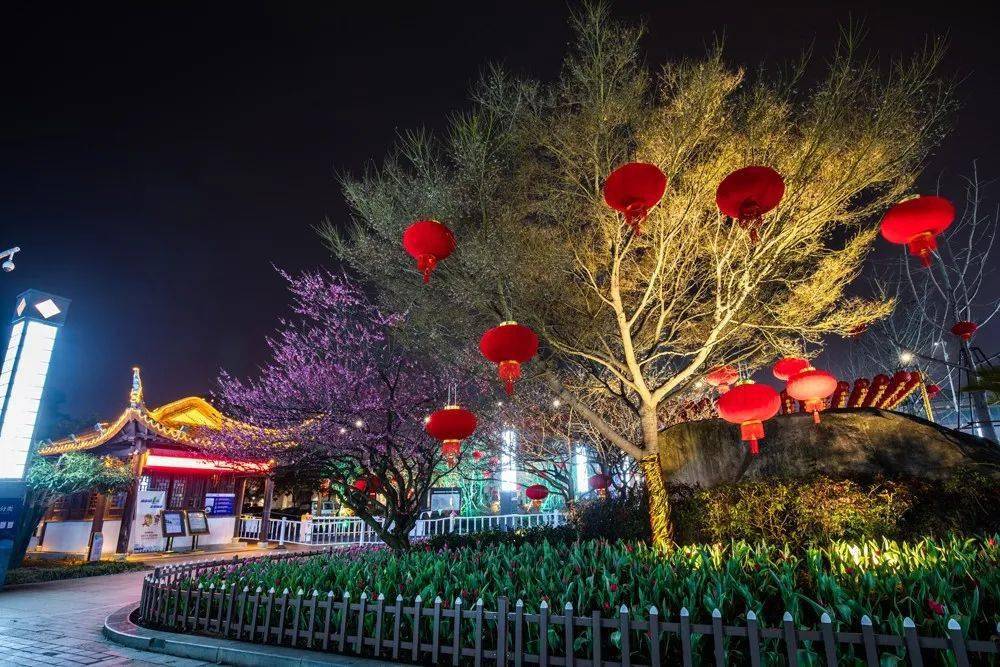 走到县前街的尽头 走过区政府的门口 …… 永宁公园 一盏盏漂亮的灯笼