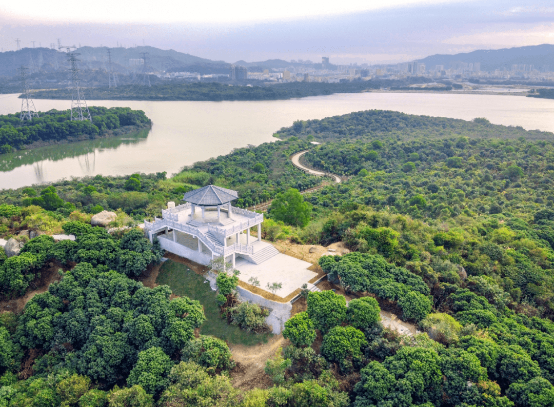 春节游宝安·石岩篇 | 环湖碧道骑行畅游,登阳台山一览美景