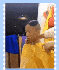 趣图楼下以为地震了呢都跑了
