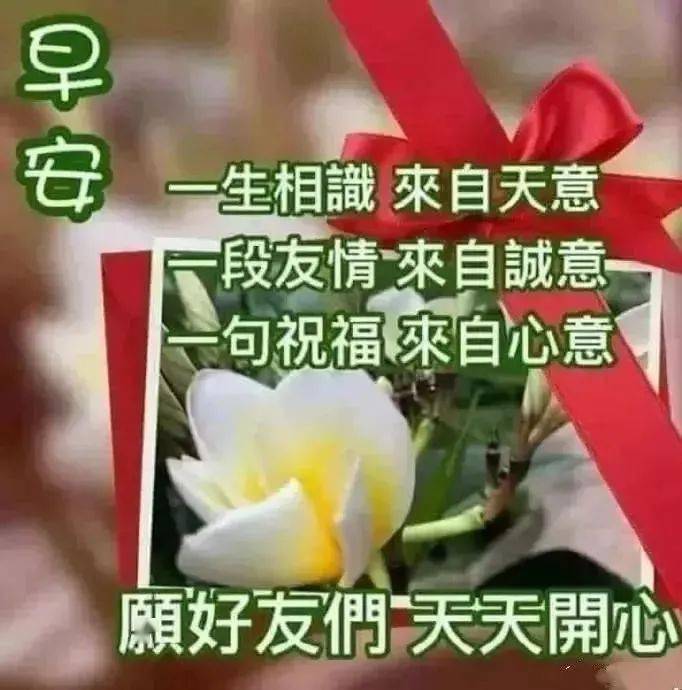 2月早安问候语图片动态表情早上好温馨问候语录图片带字动画