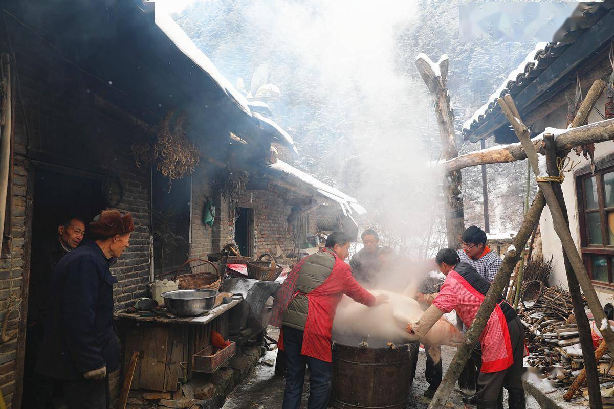 乡土散文:过年杀年猪