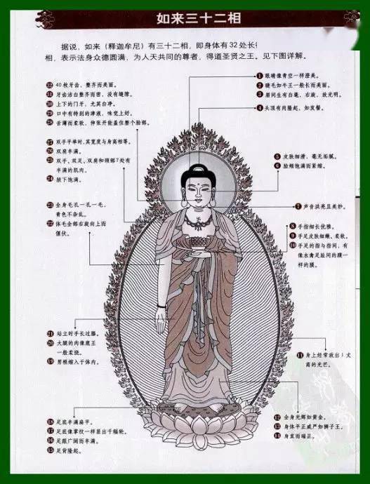 佛陀因何相貌庄严见者欢喜三十二相修炼手册请收藏