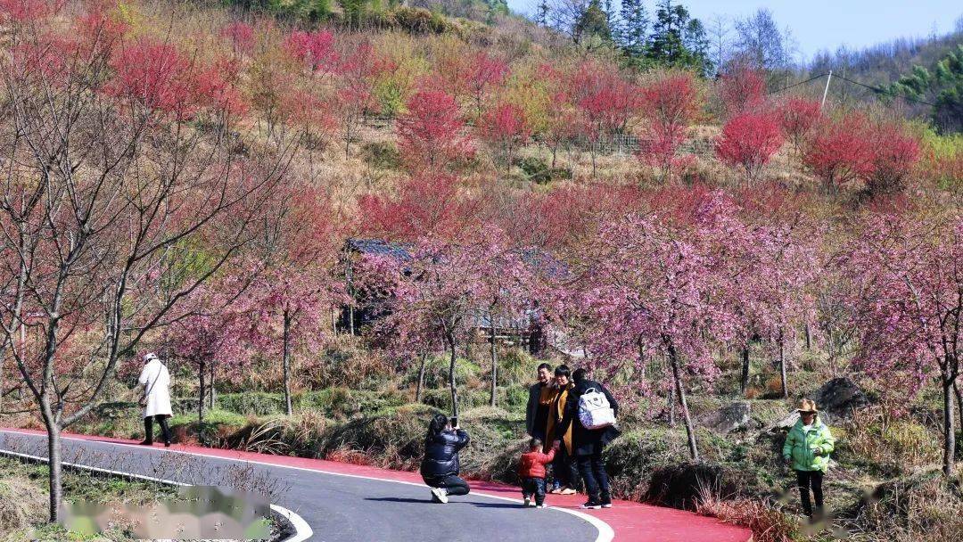 大年初三明月山旅游度假区人气火爆依旧浪漫如期而来