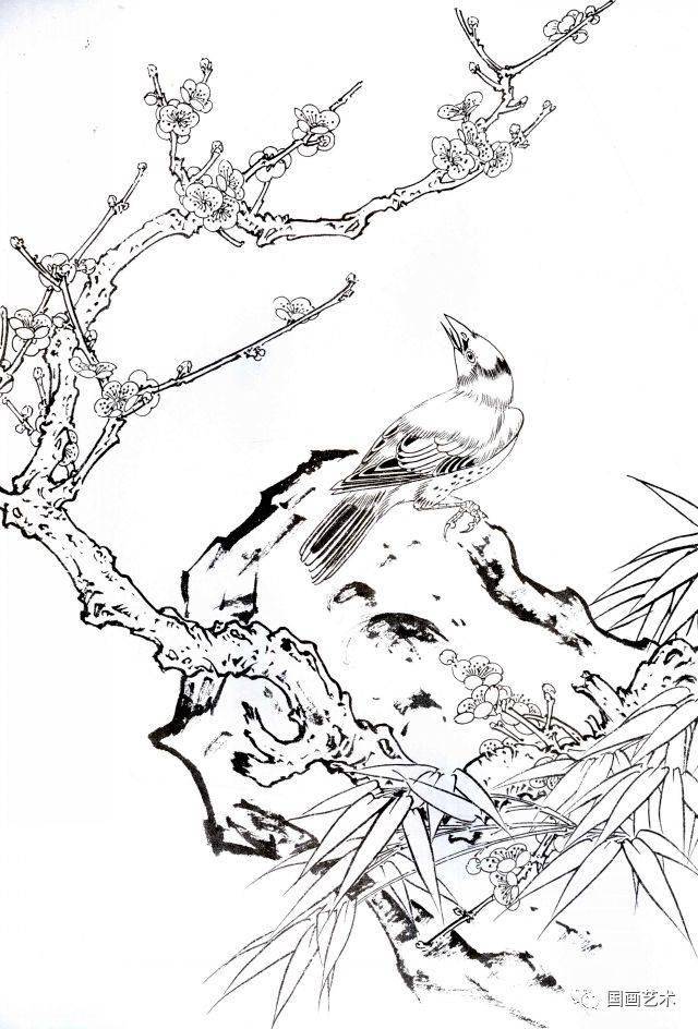 梅花小鸟白描画稿分享