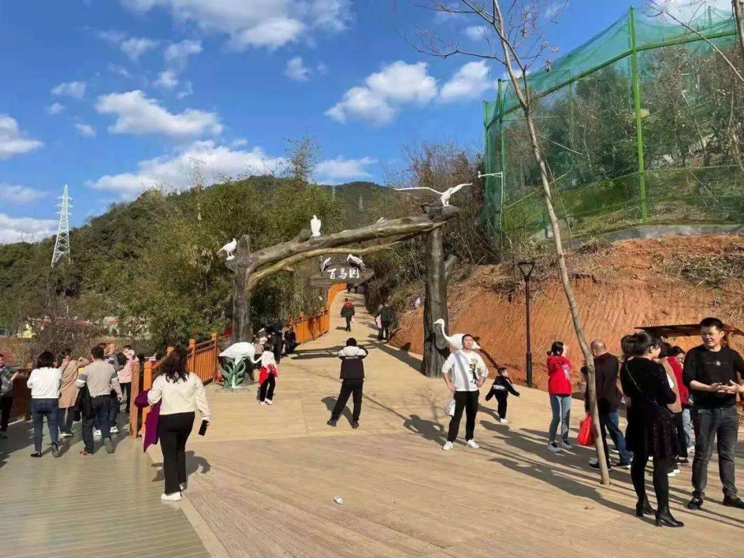 三明市区这个新晋网红打卡地,好玩到孩子都不想回家!