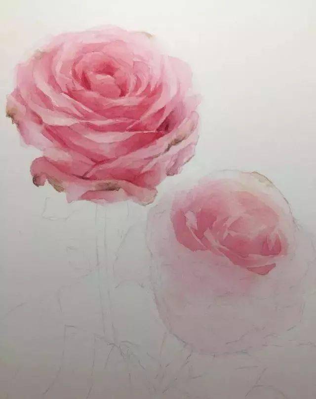 教程| 入门级梦幻水彩玫瑰花 简单清新画法,很全了