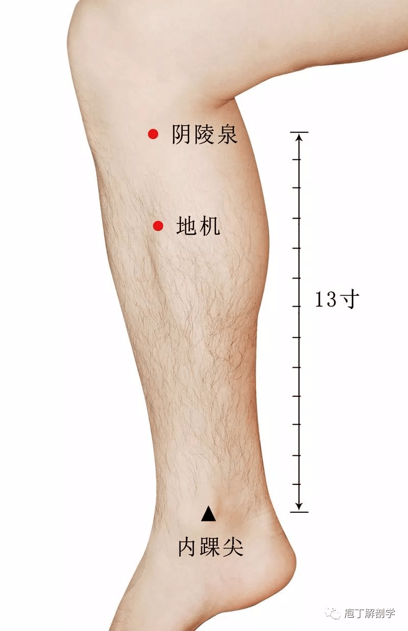 3.肩刺条口中渚颈  (1)肩部疼痛,针刺条口穴