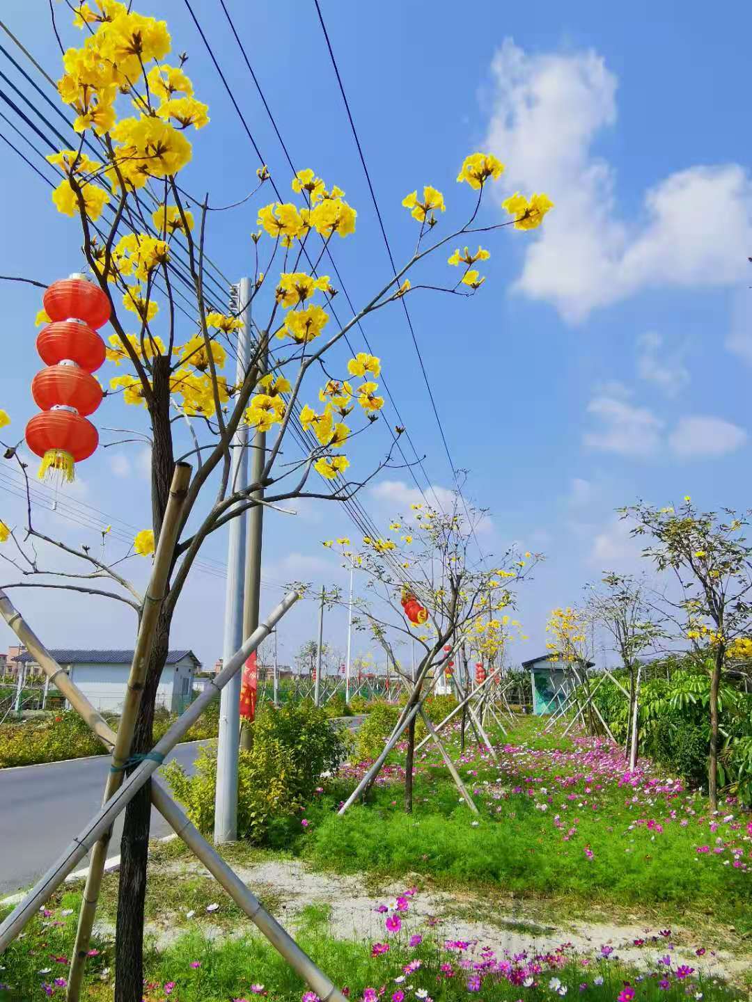 来马克村农业休闲园，“偷得浮生半日闲”