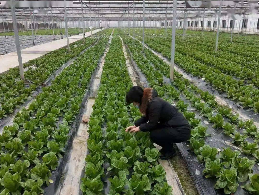 通州:此心安处是吾乡