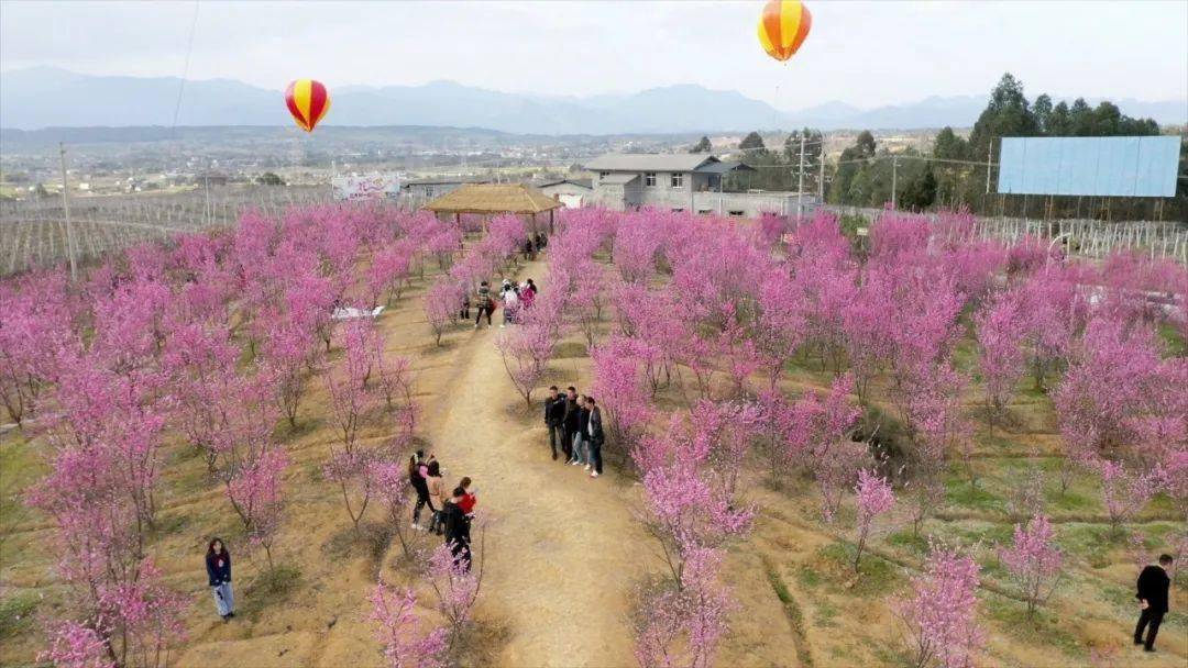 为维持新冠肺炎疫情防控良好局面,安州区提倡"就地过年",减少聚集性