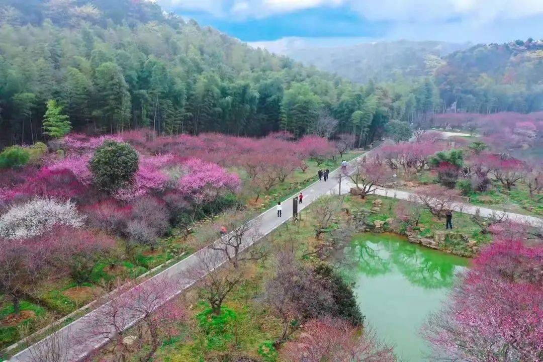 龙之梦乐园 太湖龙之梦乐园 在春节期间迎来了 成为网红打卡地, 唐潮