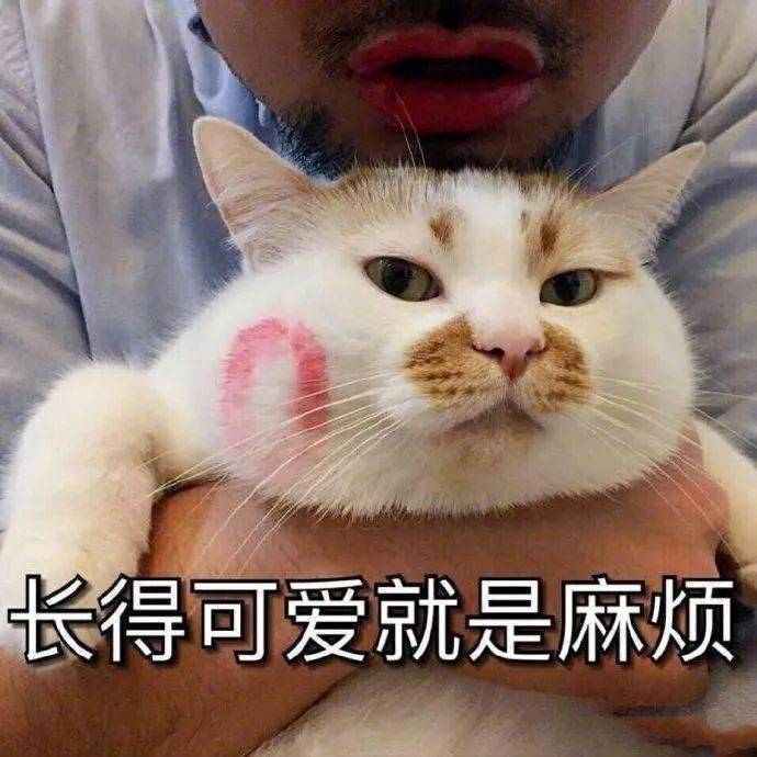 今天的表情包很可爱!错过要哭!