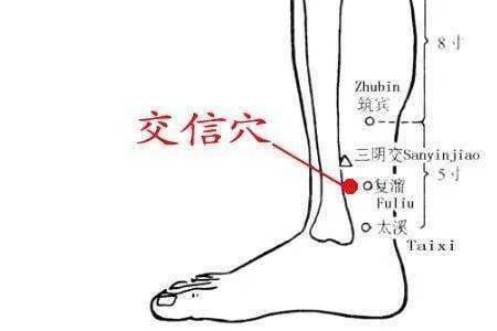 治月经不调,崩漏:按揉  交信穴