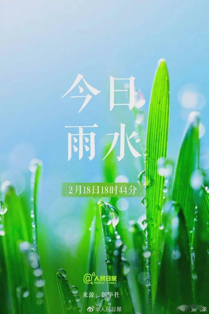 迎来春天的第二个节气—雨水