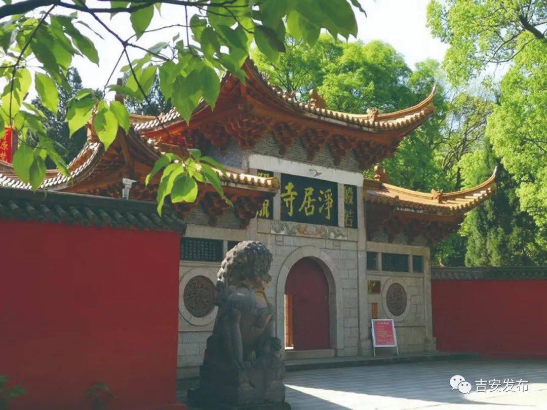 青原区文化庐陵行 中心城区—青原山(净居寺,阳明书院)—渼陂古村