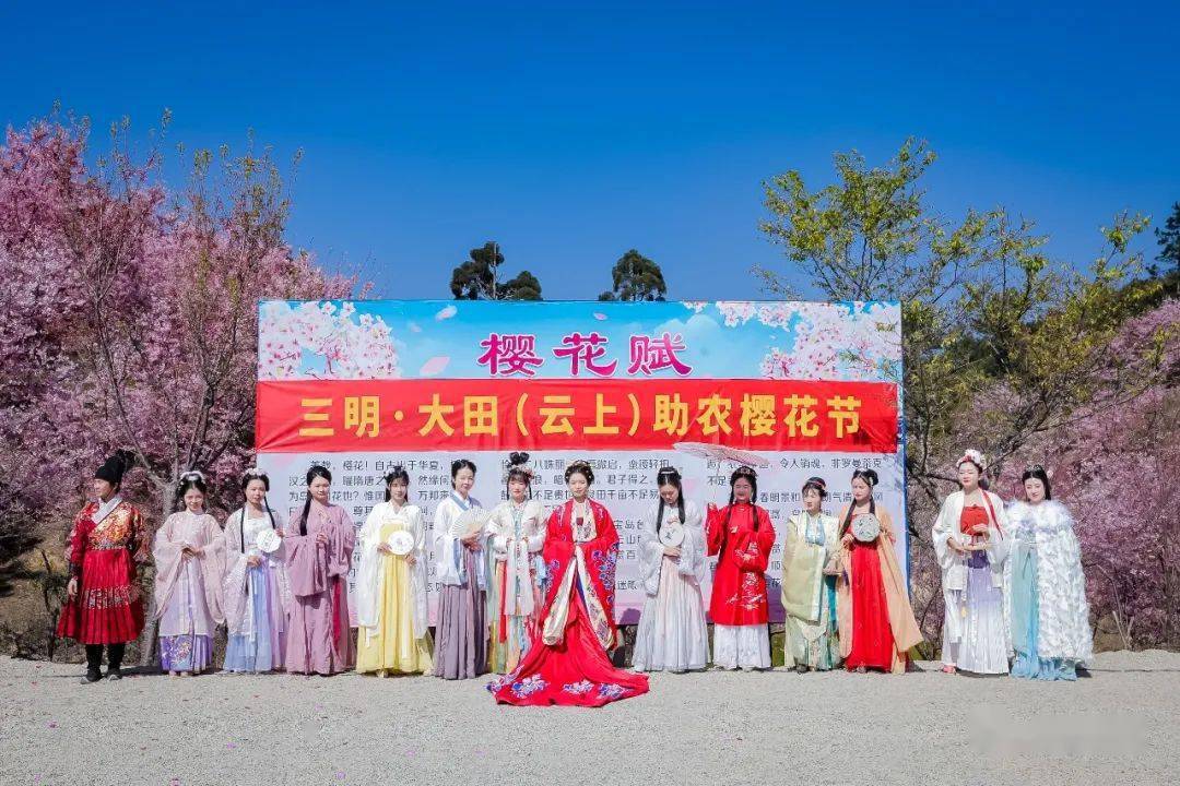 大田首届云上樱花节今日开幕