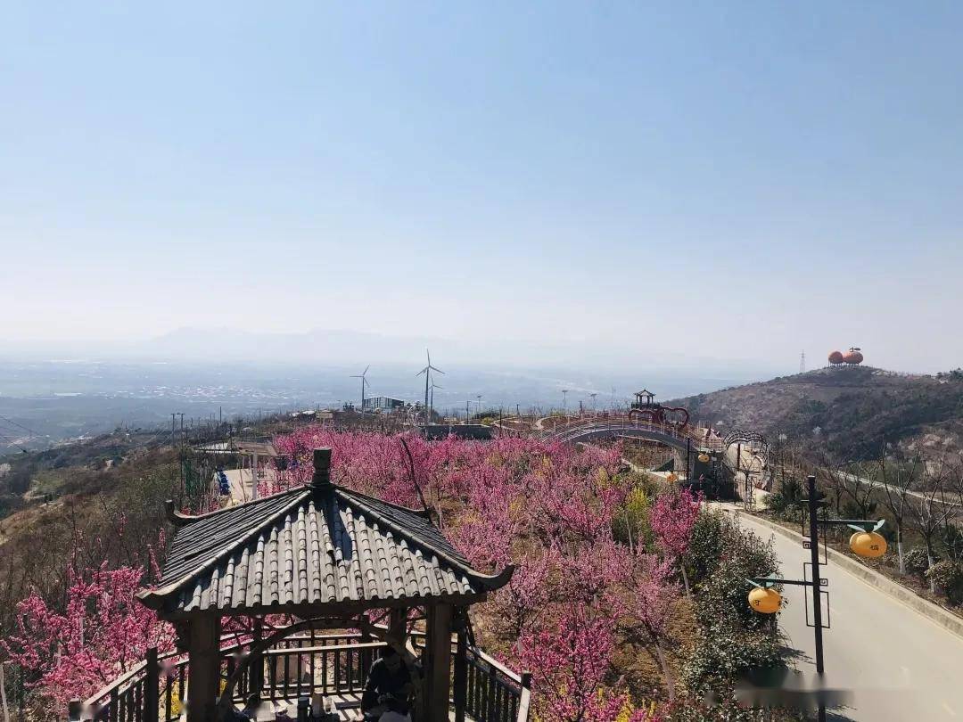 与汉中来场春天的约会,邂逅最美花果山