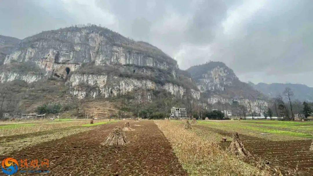 镇雄乡村振兴系列1场坝王家沟未来可期