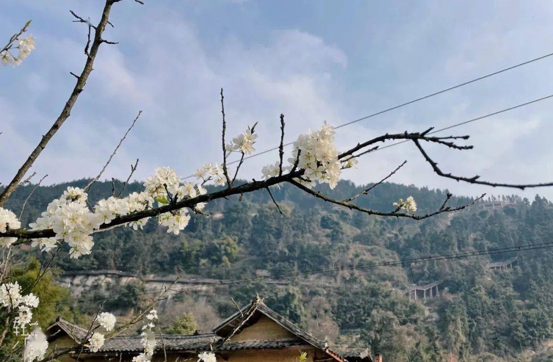 只是这部滑梯有点高哦~ 地址:重庆市荣昌区清升镇古佛山