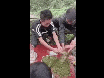 贵州人最爱的牛粪火锅,真是屎做的?