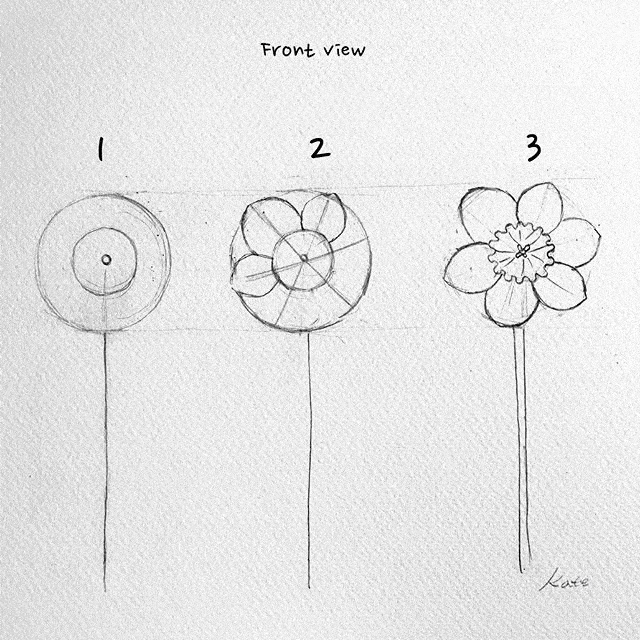3个简单步骤教你画出一朵花