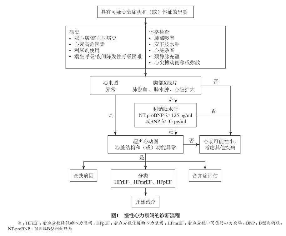 「心衰」诊疗流程图,看过的都收藏了!