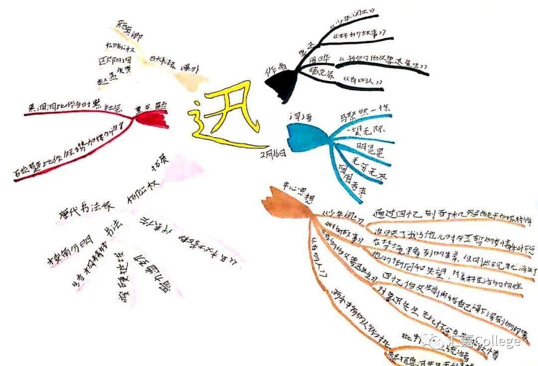 思维导图明星学员展—高晨依_课文