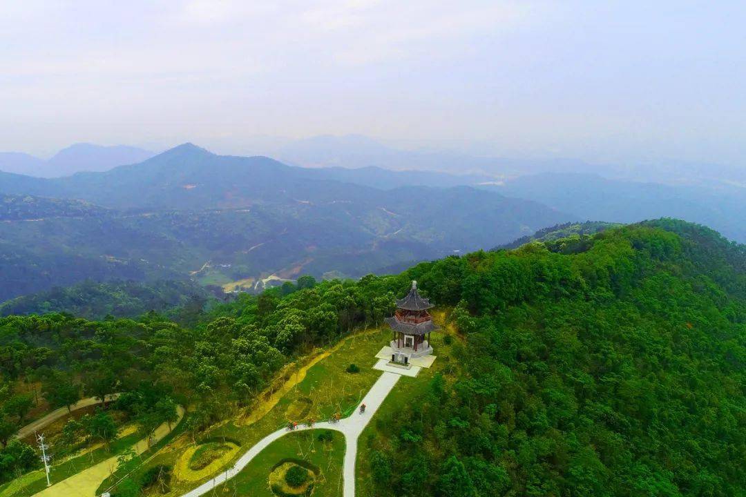 路线6 白水带森