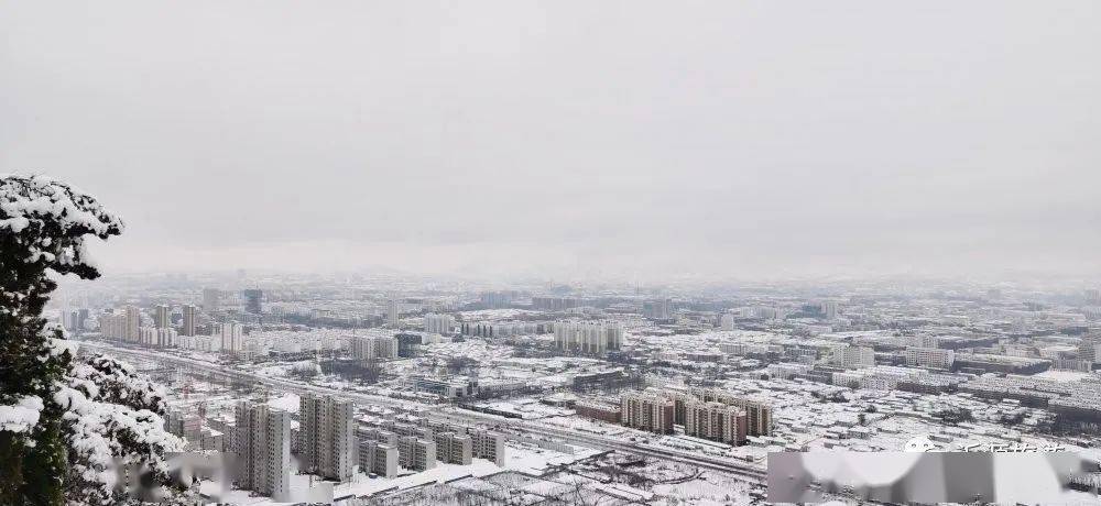 瑞雪兆丰年淄博牛年第一场雪银装素裹美如画