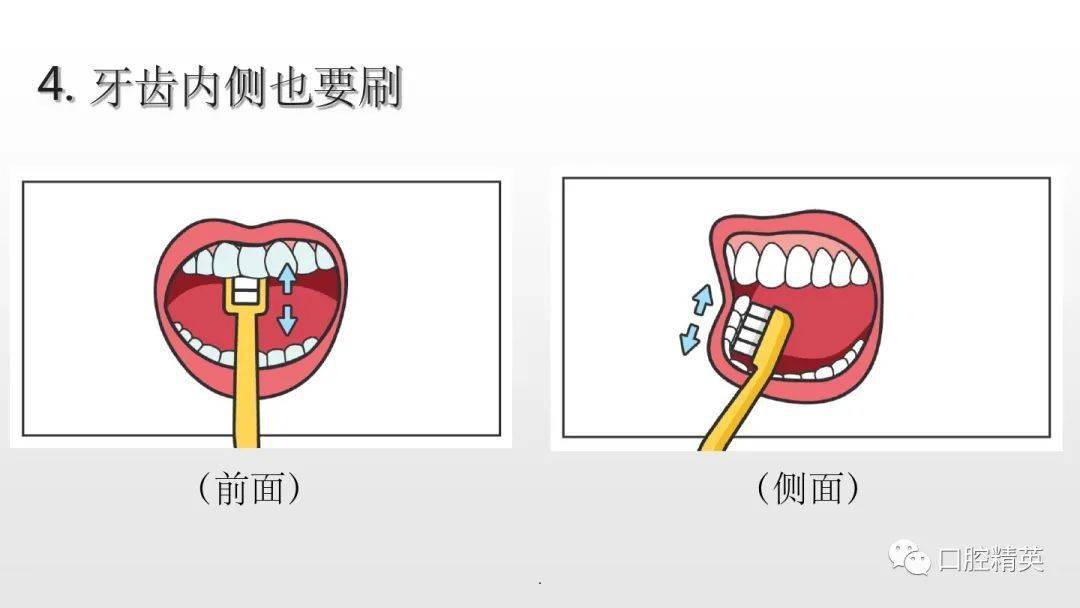 巴氏刷牙法