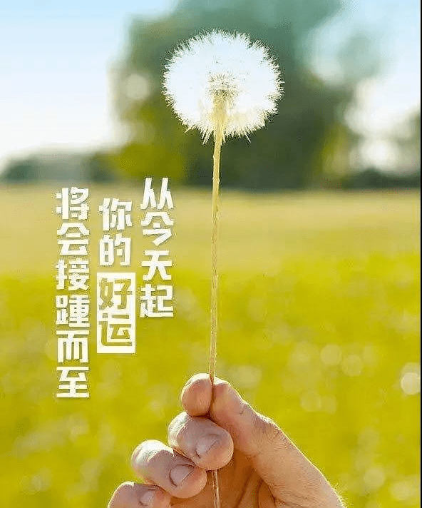 2021触动你心灵的正能量句子,励志阳光,读完充满力量