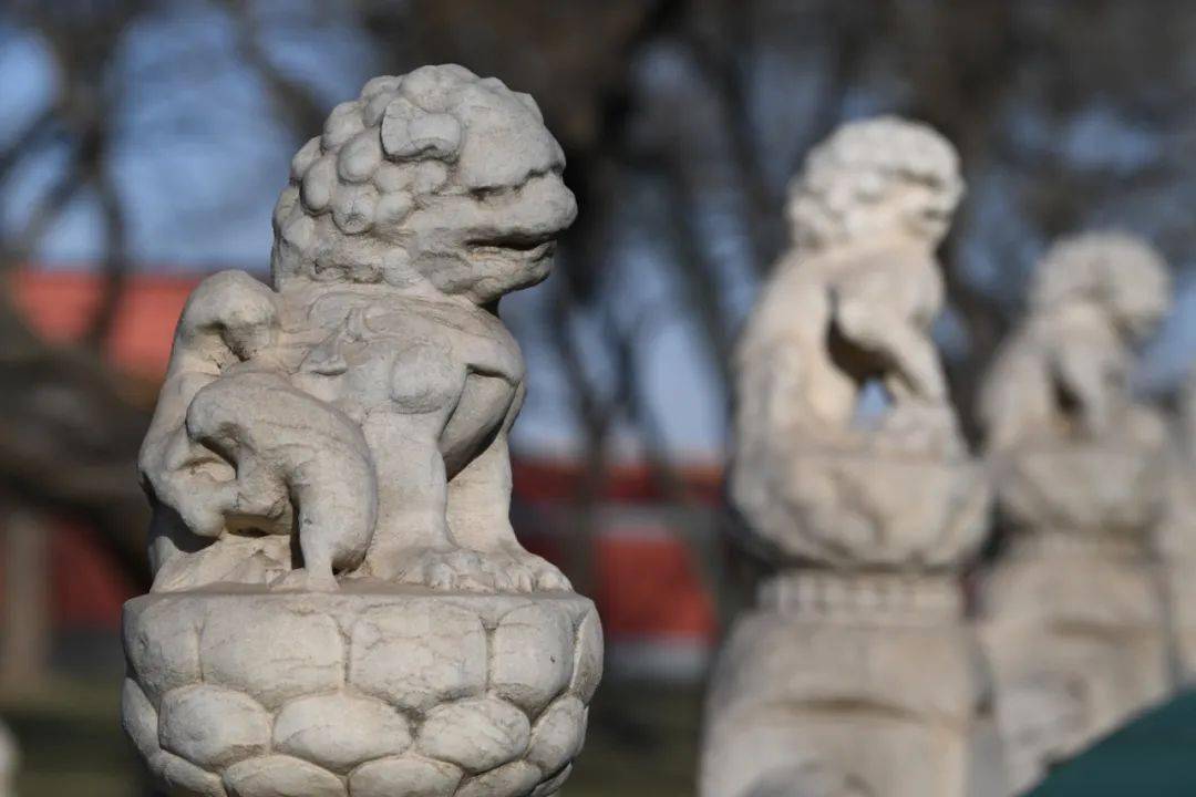 趣说北京 紫禁城的狮子_故宫