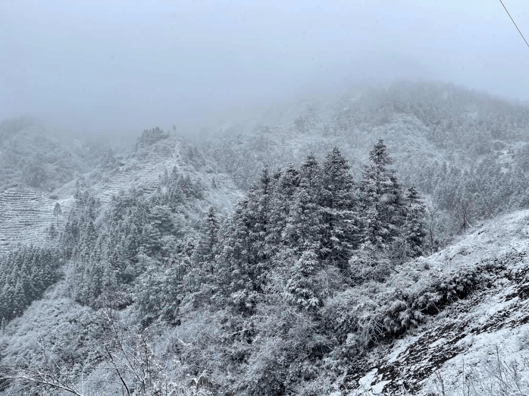 昭通凉风台,靖安大坪子,小草坝.下雪啦!