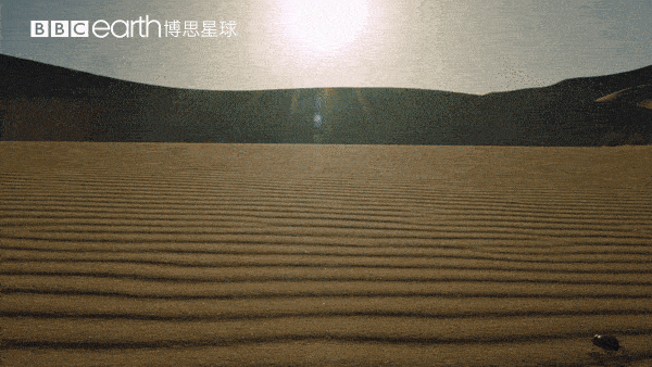 再次说明,所有资源都放入下面二维码对应的公众号 