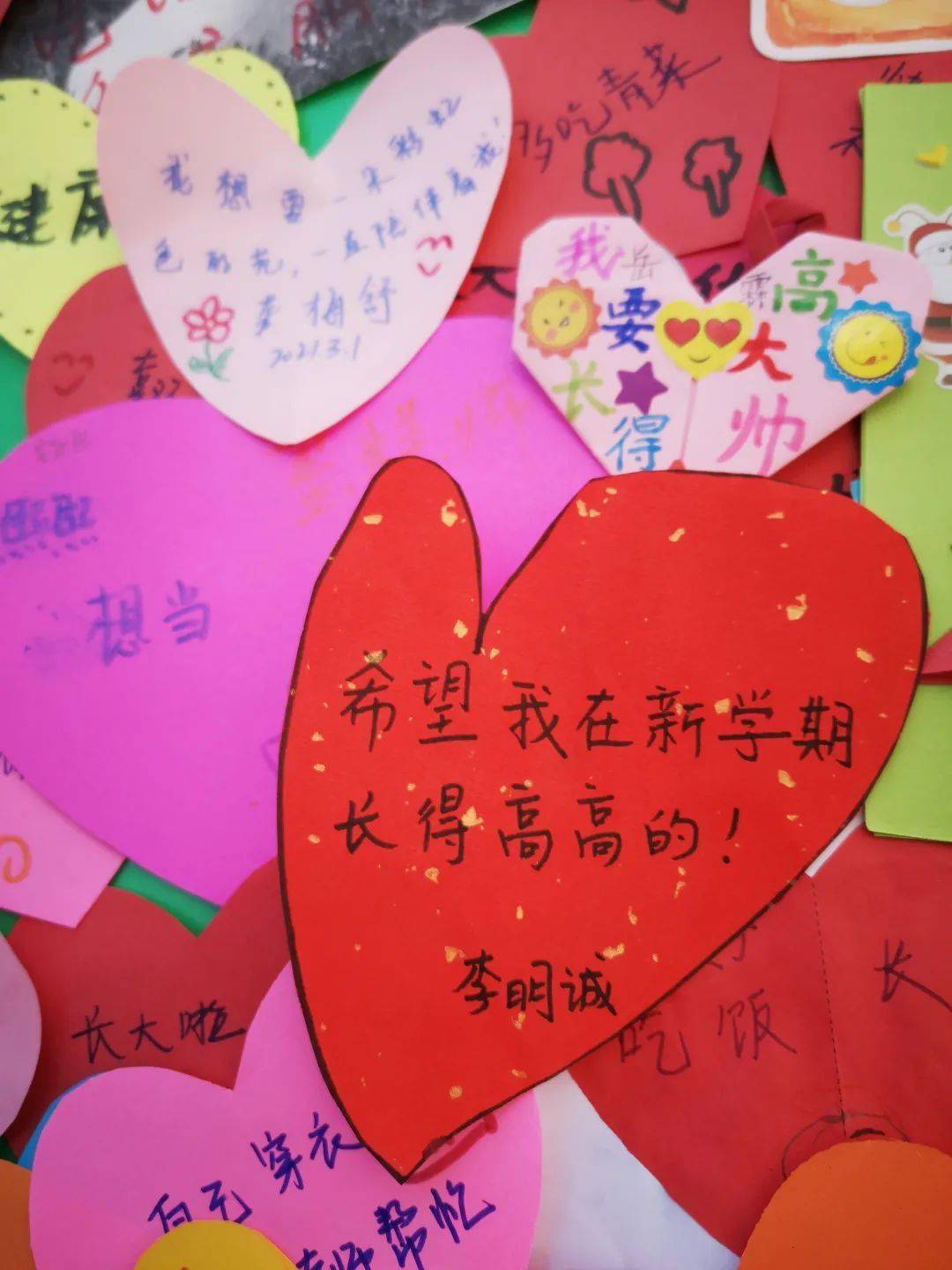 春日自奋蹄,"犇"向新学期!_实验幼儿园