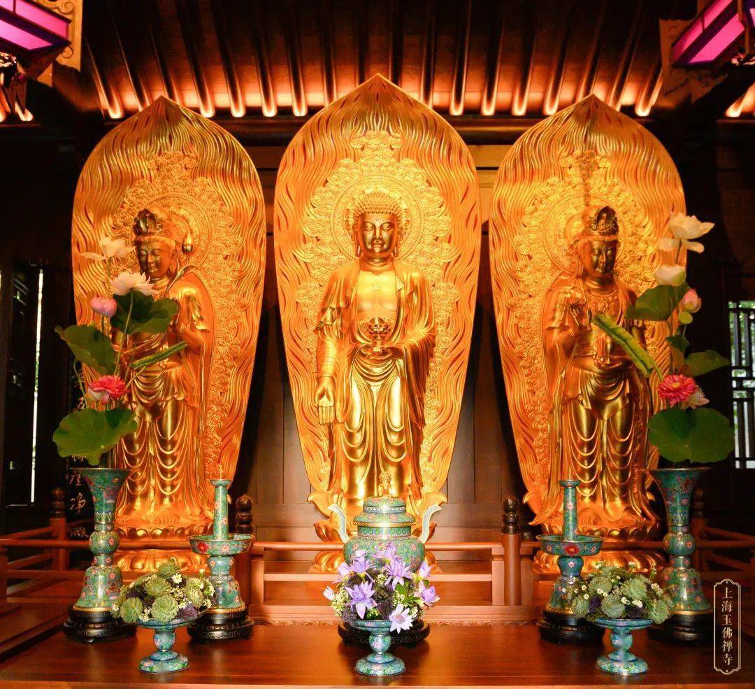 随喜赞叹心花怒放玉佛禅寺佛前供花美图集锦