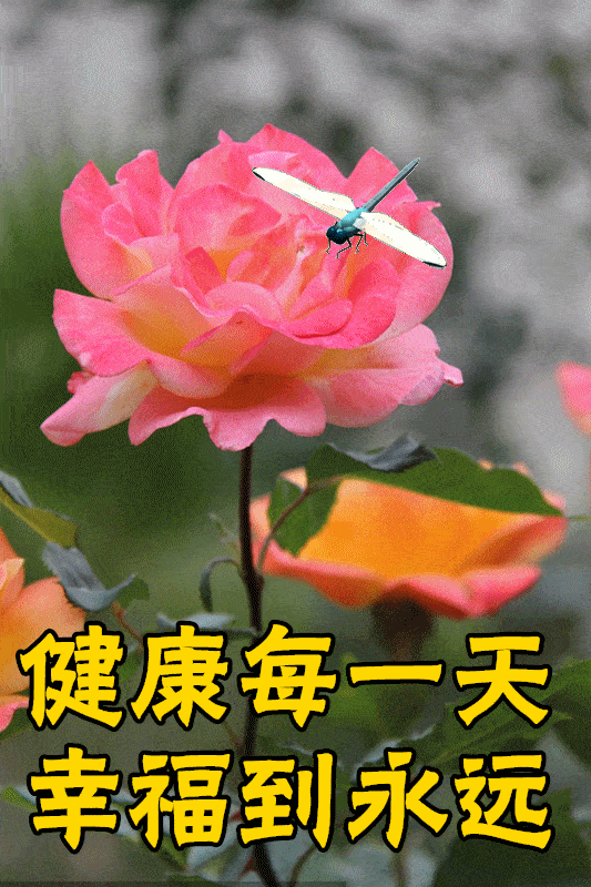 3月2日最漂亮早上好动态表情图片大全,早晨好动图美图