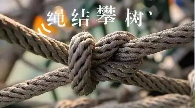 攀树绳结横渡溜索我们站在树的肩膀上俯瞰世界3月13日