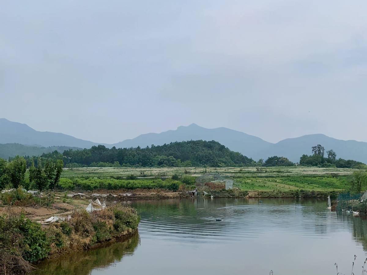 桐城市大关镇山水田园里的乡村振兴梦