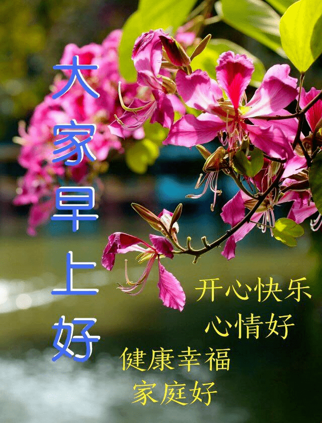 超级漂亮早上好问候祝福语动态图片带字早上好快乐祝福语短信句子