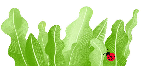 春天万物复苏,应该早睡早起,散步缓行,在春光中舒展四肢,呼吸新鲜