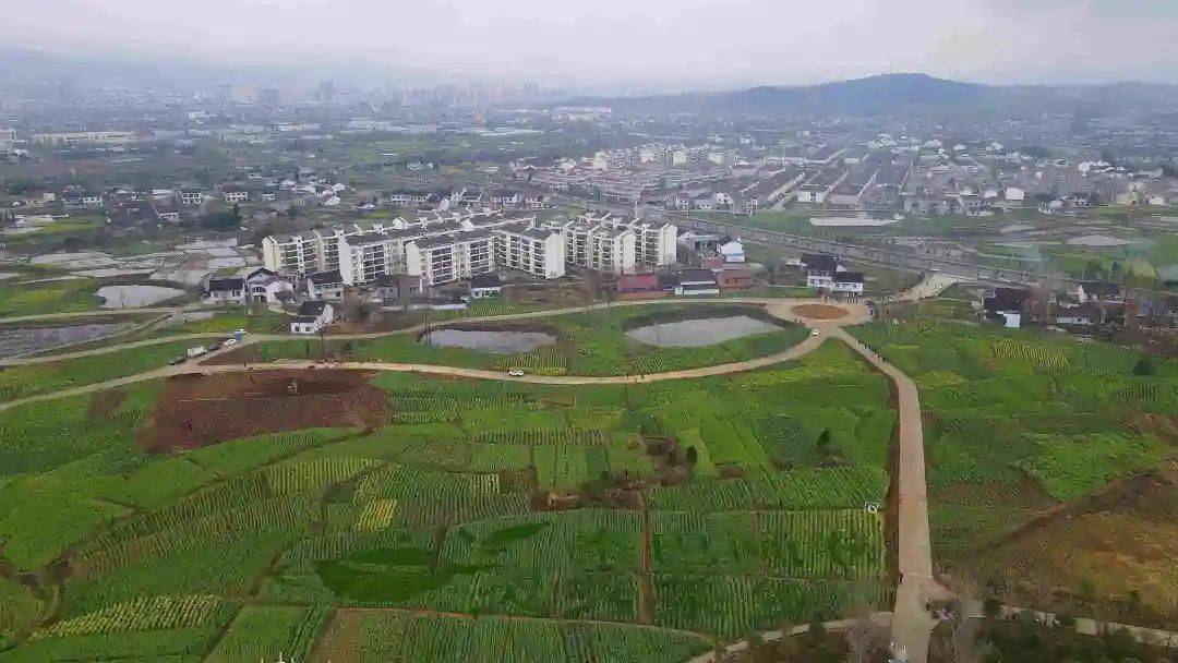 【春天里的陕西】汉中西乡县:高土坝观花点油菜花陆续