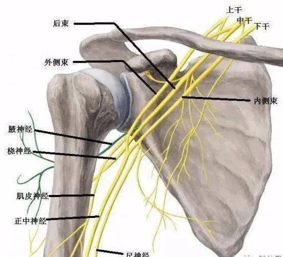 四边孔综合征