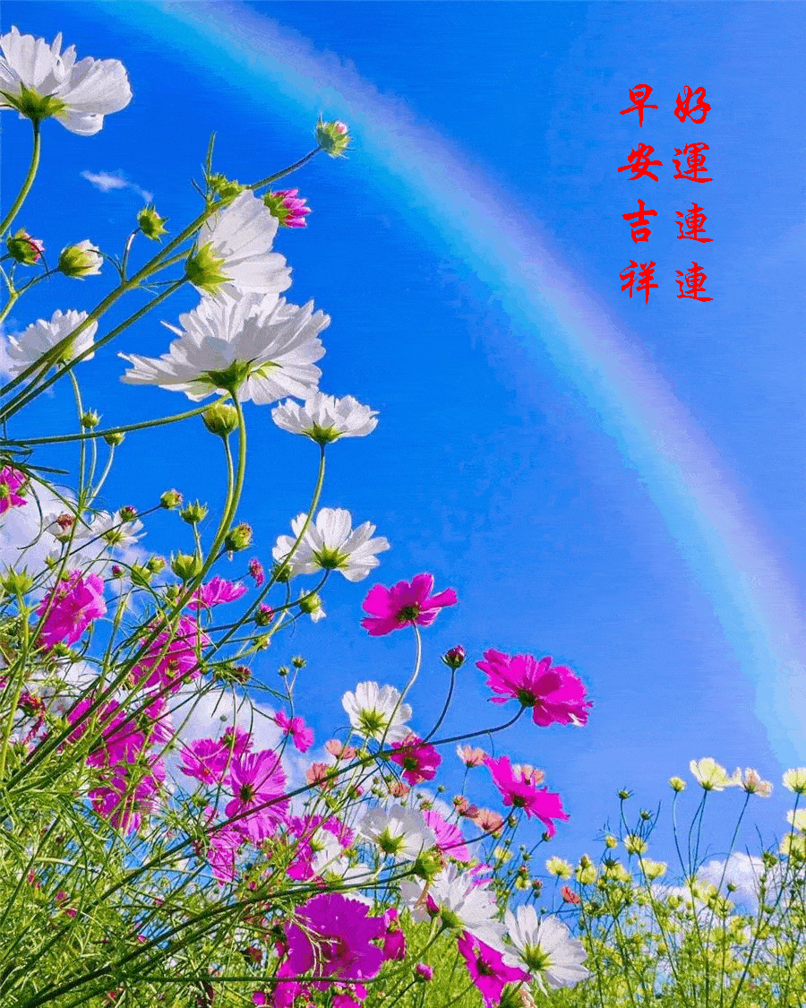 202136周末愉快《早安心语》∮