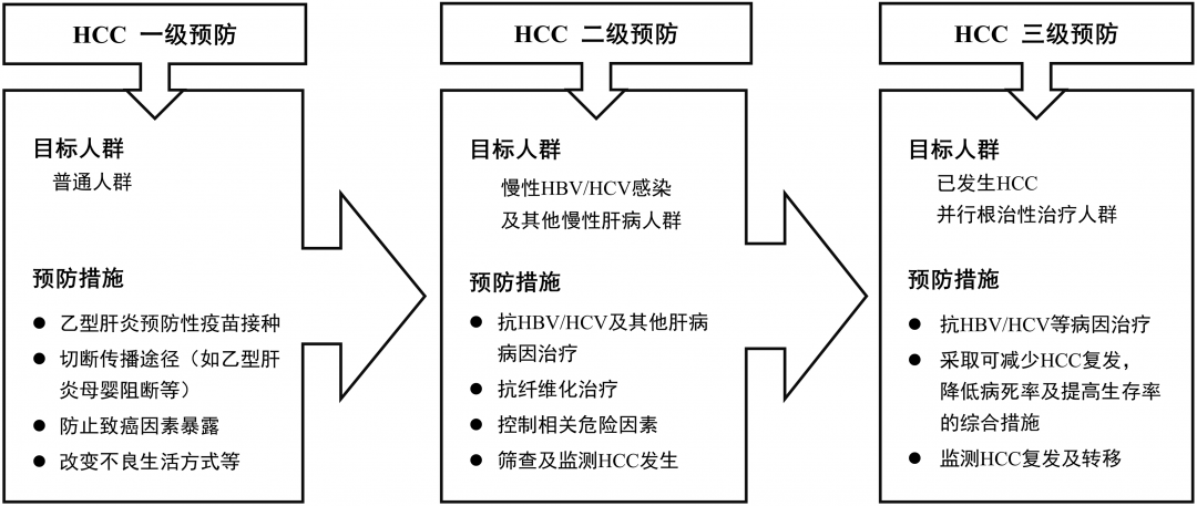 肝癌频发,谁是高危人群?如何正确早诊?怎样阻断癌变?2021版原发性肝癌